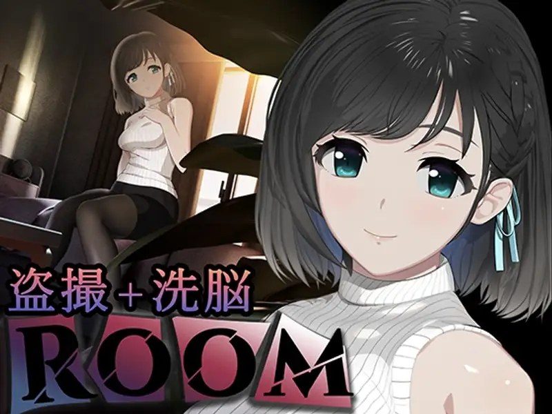 ROOM ROOM游戏攻略存档备份推进思路 封面图